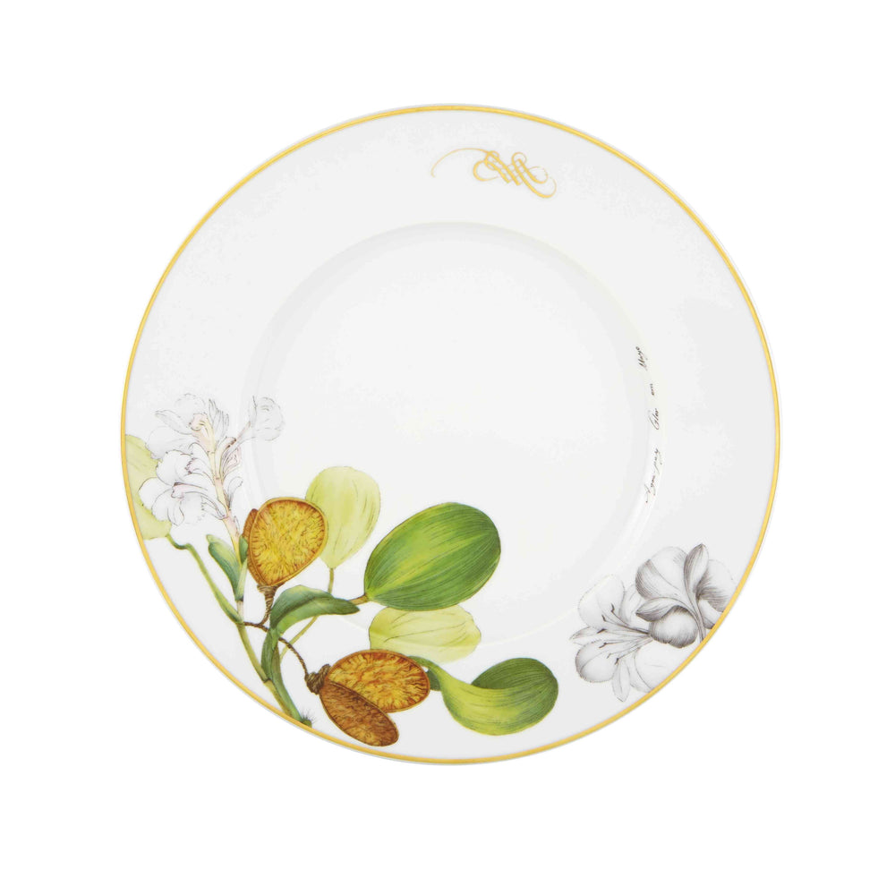 Vista Alegre Amazonia Collection  Dinner Plate